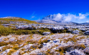 선작지왓에서-3