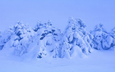 해발 1650미터에서