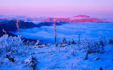 제석봉에서 빛 받은 반야를 보다
