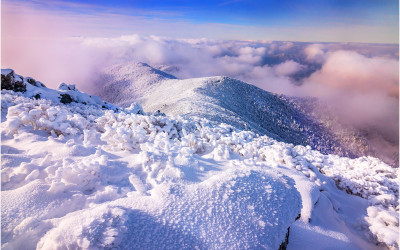 중봉의 추억 !!!