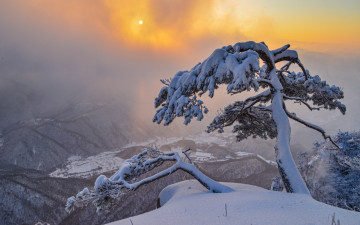 지난 겨울, 대둔산에서...