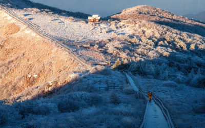 칼바람을 즐기는 사람들