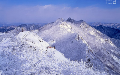 계룡산의 겨울