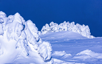 둘째오름 기슭에서-