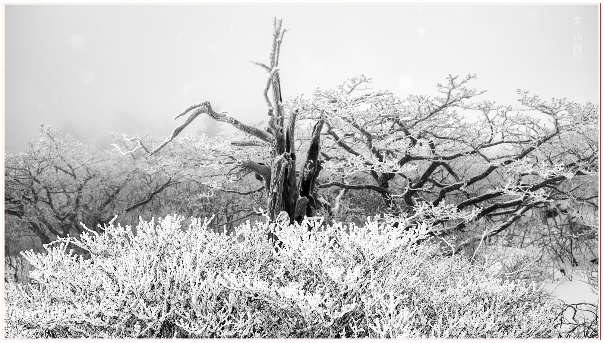 6e996914aeb44d24a68a05d59f67f7be_1770940382_7162.jpg 6e996914aeb44d24a68a05d59f67f7be_1770940382_7162.jpg