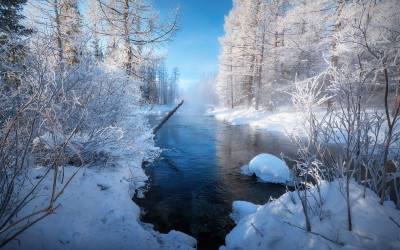 몽골 자르갈란트강