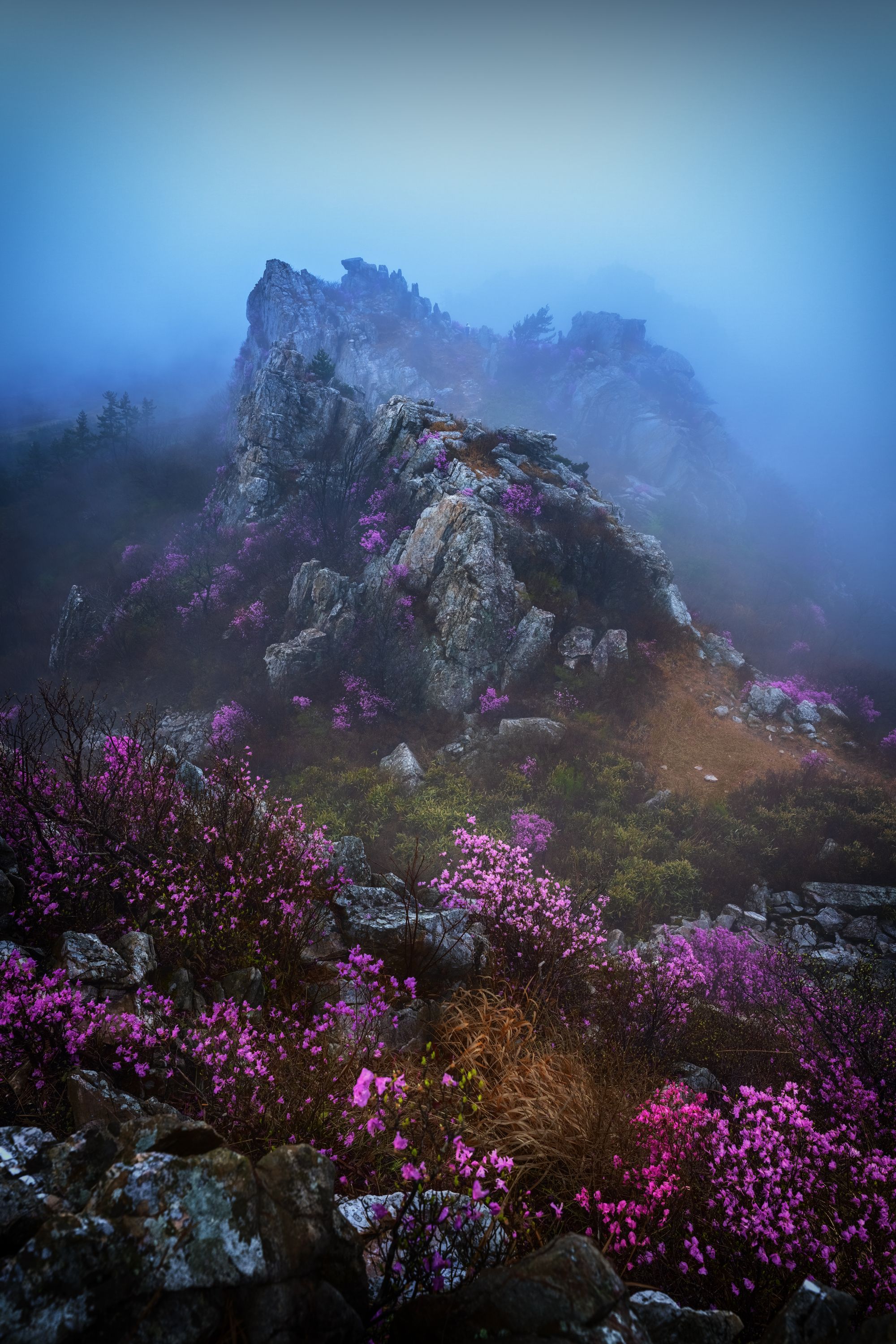 38c3b10d78345e5beba15820664ef946_1775527753_6189.jpg 38c3b10d78345e5beba15820664ef946_1775527753_6189.jpg