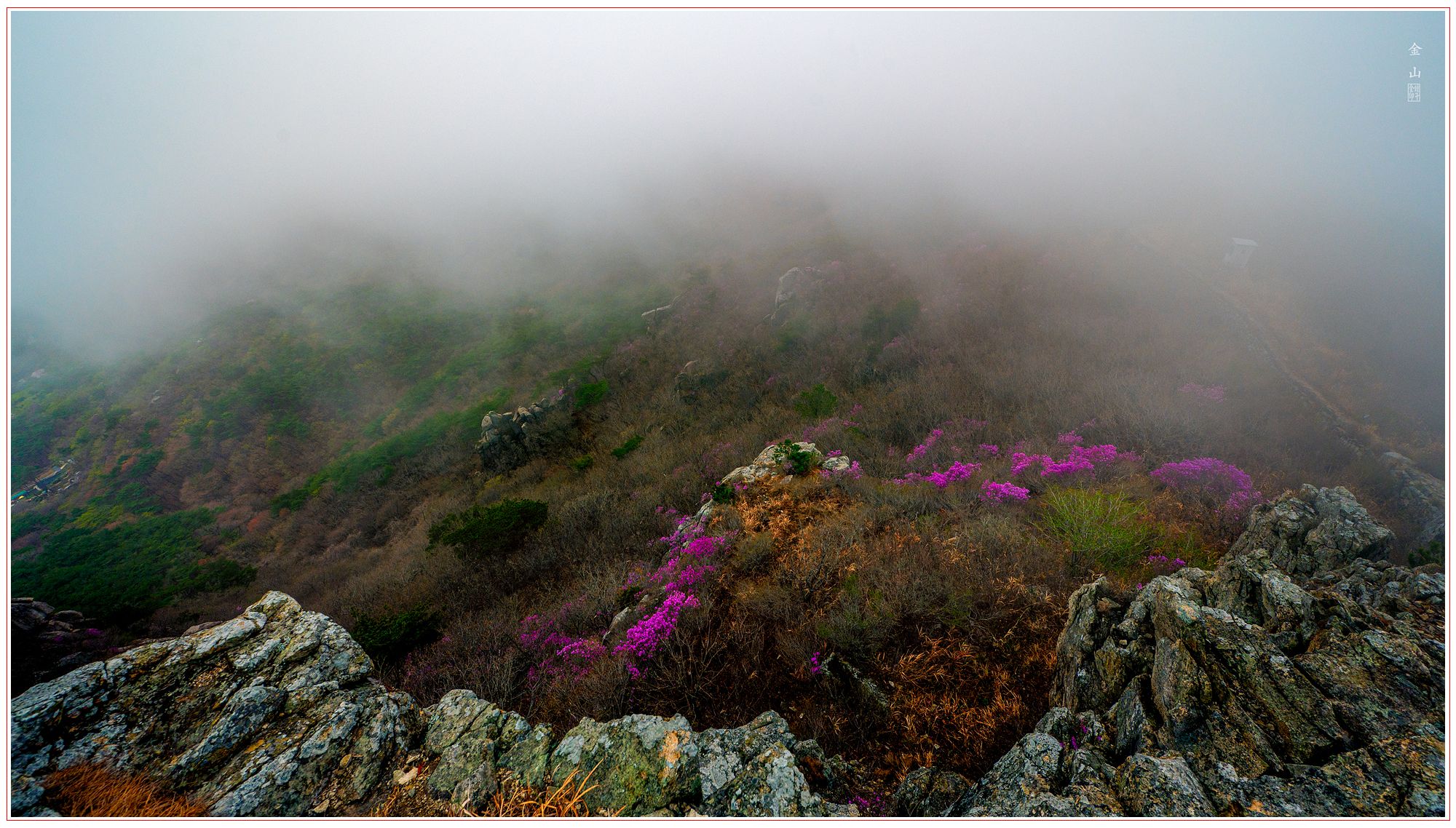 ddba02e8a14ab8b95cc86bb9fe149161_1775464793_4479.jpg ddba02e8a14ab8b95cc86bb9fe149161_1775464793_4479.jpg