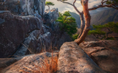 생애대 - 대둔산