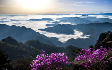 대둔산의 봄 - 대둔산