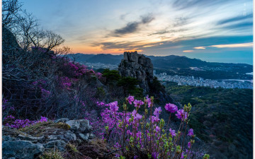 금정산 어제와 오늘 풍경_2026 - 금정산