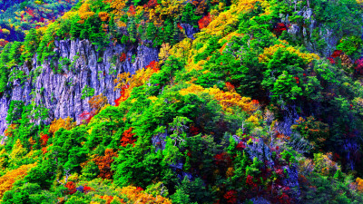 추억의지리산  69