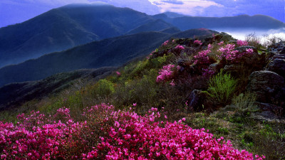 추억의 지리산  90