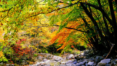 추억의지리산  117  박환윤