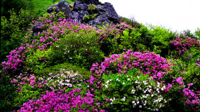 추억의지리산  113   박환윤