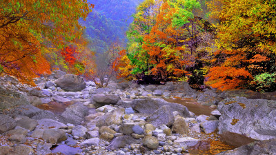 추억의지리산   127   박환윤