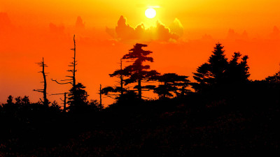 추억의지리산   121   박환윤