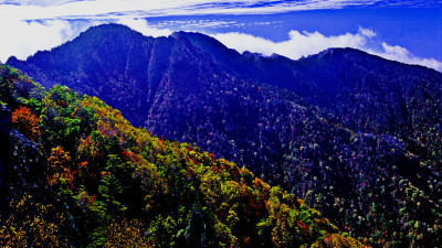 추억 의지리산   129   박환윤