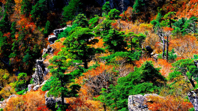 추억의지리산  45