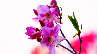 추억의지리산  99