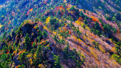 추억의지리산  132  박환윤