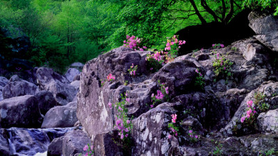 추억의지리산  97