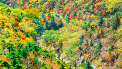 추억의자라산     131   박한윤