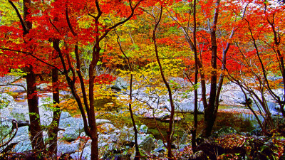 추억의 지리산 109  박환윤