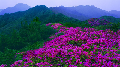 추억의지리산  33