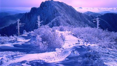 추억의 지리산  18