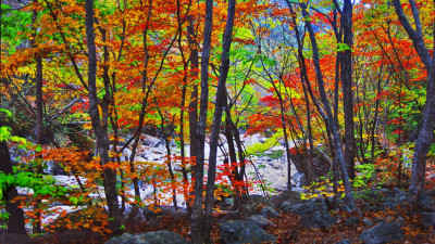 추억의지리산  111  박환윤