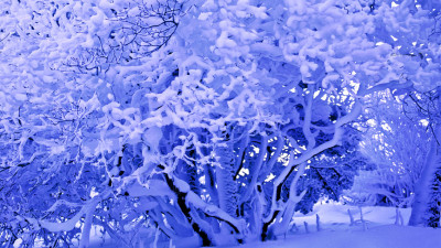 추억의지리산    14