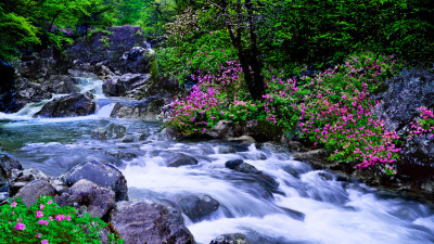 추억의지리산  67