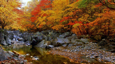 추억의지리산  60