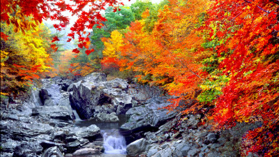 추억의지리산  53