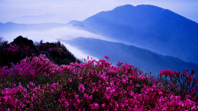 추억의지리산  93