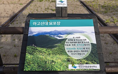 아고산대 묘포장