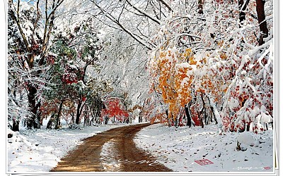 2008첯눈