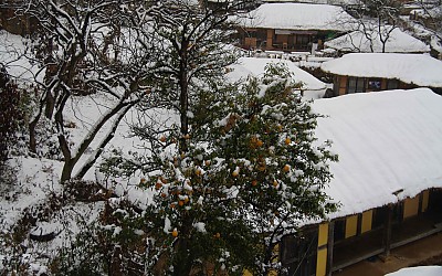 설경