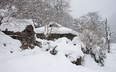 삼척너와집