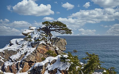 하조대