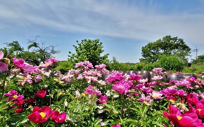 밝은 이미지에서