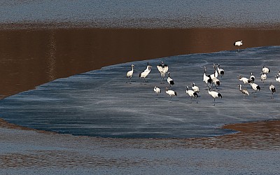 겨울의끝자락