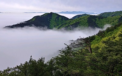 쉰움산의 봄소식