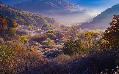 비밀의 정원