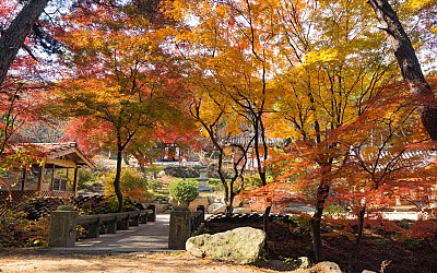 경주의 가을