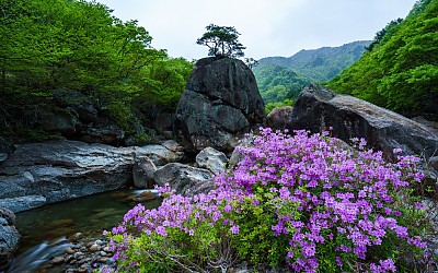 명상바위