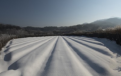 속리산 용화마을에서