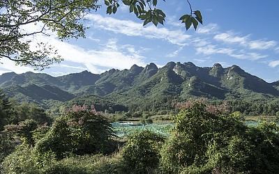 속리산 자락
