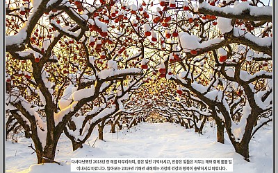 새해 복 많이 받으시고 2019년 건강하세요.